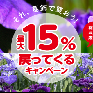 12/1~葛飾区キャッシュレス決済還元事業2024 三味線河野・羽子板南川・打刃物大河原・切子清水